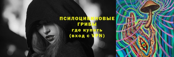 мет Белокуриха