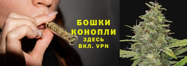 шишки Беломорск