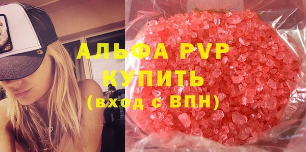 шишки Беломорск
