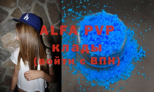шишки Беломорск