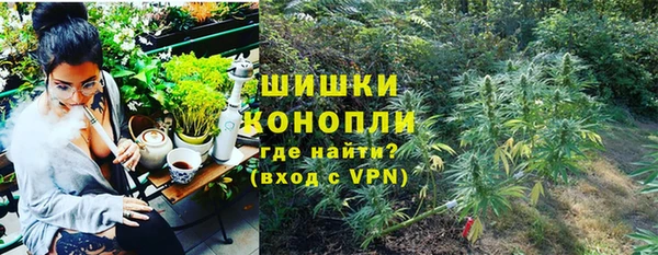 дживик Баксан