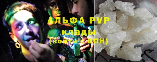 шишки Беломорск